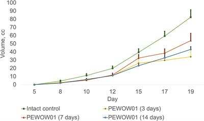 Adjuvant composite cold atmospheric plasma therapy increases antitumoral effect of doxorubicin hydrochloride